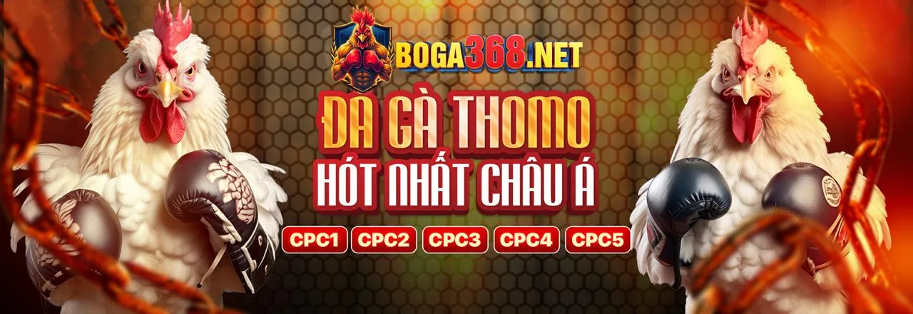 Hình ảnh tổng quan nền tảng uu88