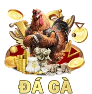 Hoàn Trả Thể Thao Hàng Ngày