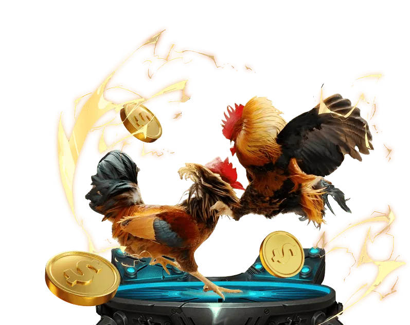 Chương trình hoàn trả hàng ngày và hàng tuần